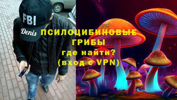 Альфа ПВП Арсеньев