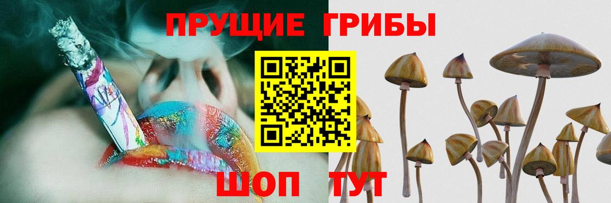 Белорецк  Псилоцибиновые грибы прущие грибы  Вход с VPN 